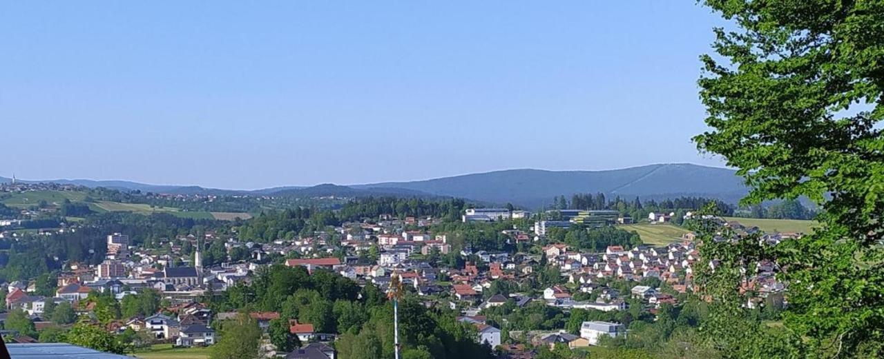 Vila Freyunger Berghaus Exteriér fotografie